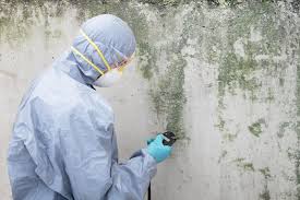 Why You Should Choose Our Mold Remediation Services in Federalsburg, MD